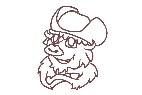 Bison Cowboy Hat Embroidery Review